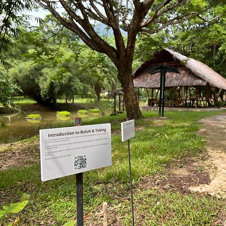 Ambong Rainforest Retreat Pantai Cenang  Dış mekan fotoğraf