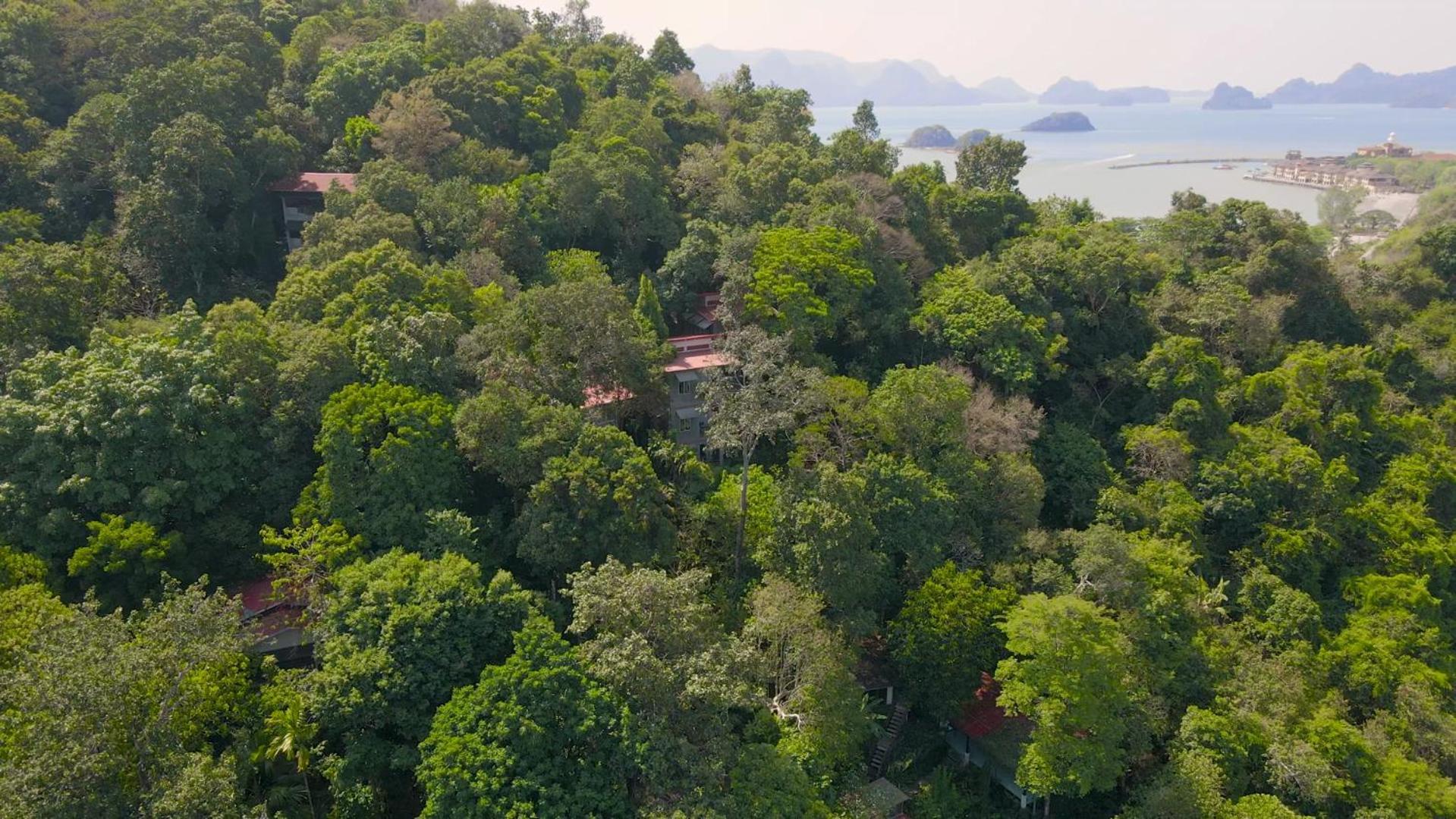 Ambong Rainforest Retreat Pantai Cenang  Dış mekan fotoğraf