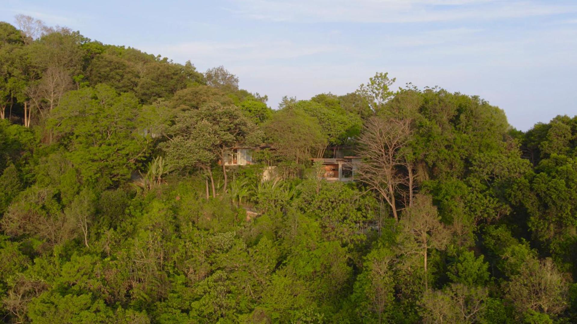 Ambong Rainforest Retreat Pantai Cenang  Dış mekan fotoğraf